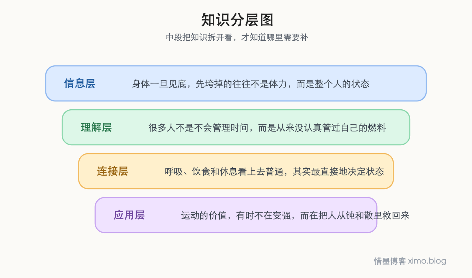 真正高效的人,不是更会硬撑,而是更懂得给身体补足燃料 知识分层图